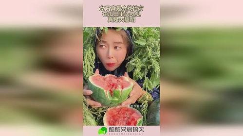 吃瓜娱乐田,田氏家族的欢乐时光